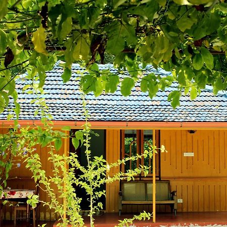 מאראריקולם Marari Beach Pearl Homestay מראה חיצוני תמונה