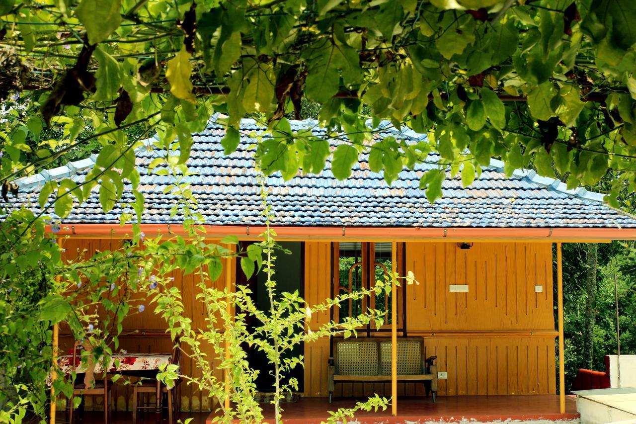 מאראריקולם Marari Beach Pearl Homestay מראה חיצוני תמונה